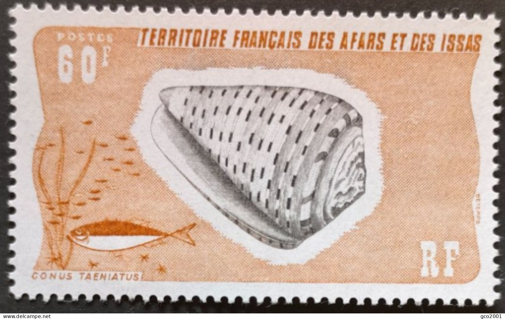 AFARS ET ISSAS / YT 426 / FAUNE - COQUILLAGE - CONE / NEUF ** / MNH - Conchiglie