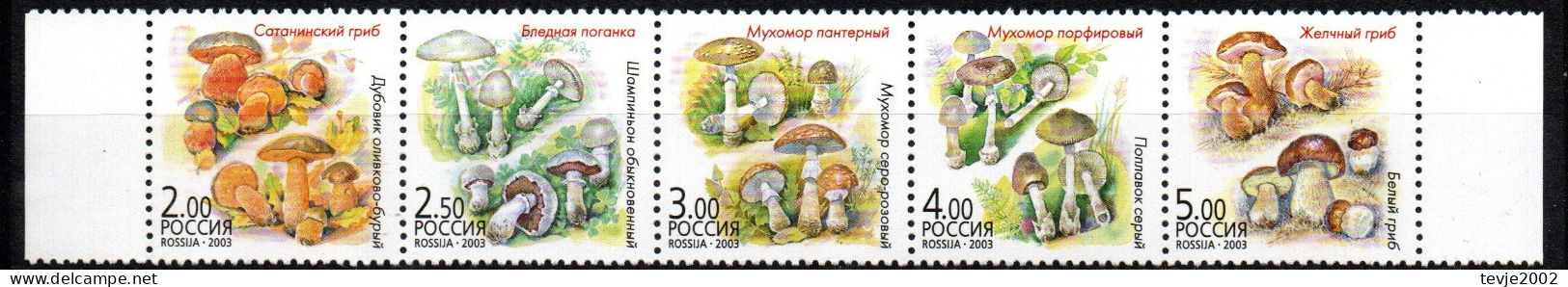 Russland 2003 - Mi.Nr. 1108 - 1112 - Postfrisch MNH - Pilze Mushrooms - Champignons