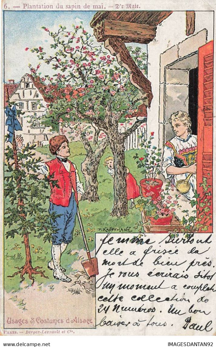 ILLUSTRATEURS  AO#AL000644 ILLUSTRATION PLANTATION DU SAPIN DE MAI  ALSACE BERGER LEVRAULT - Autres & Non Classés