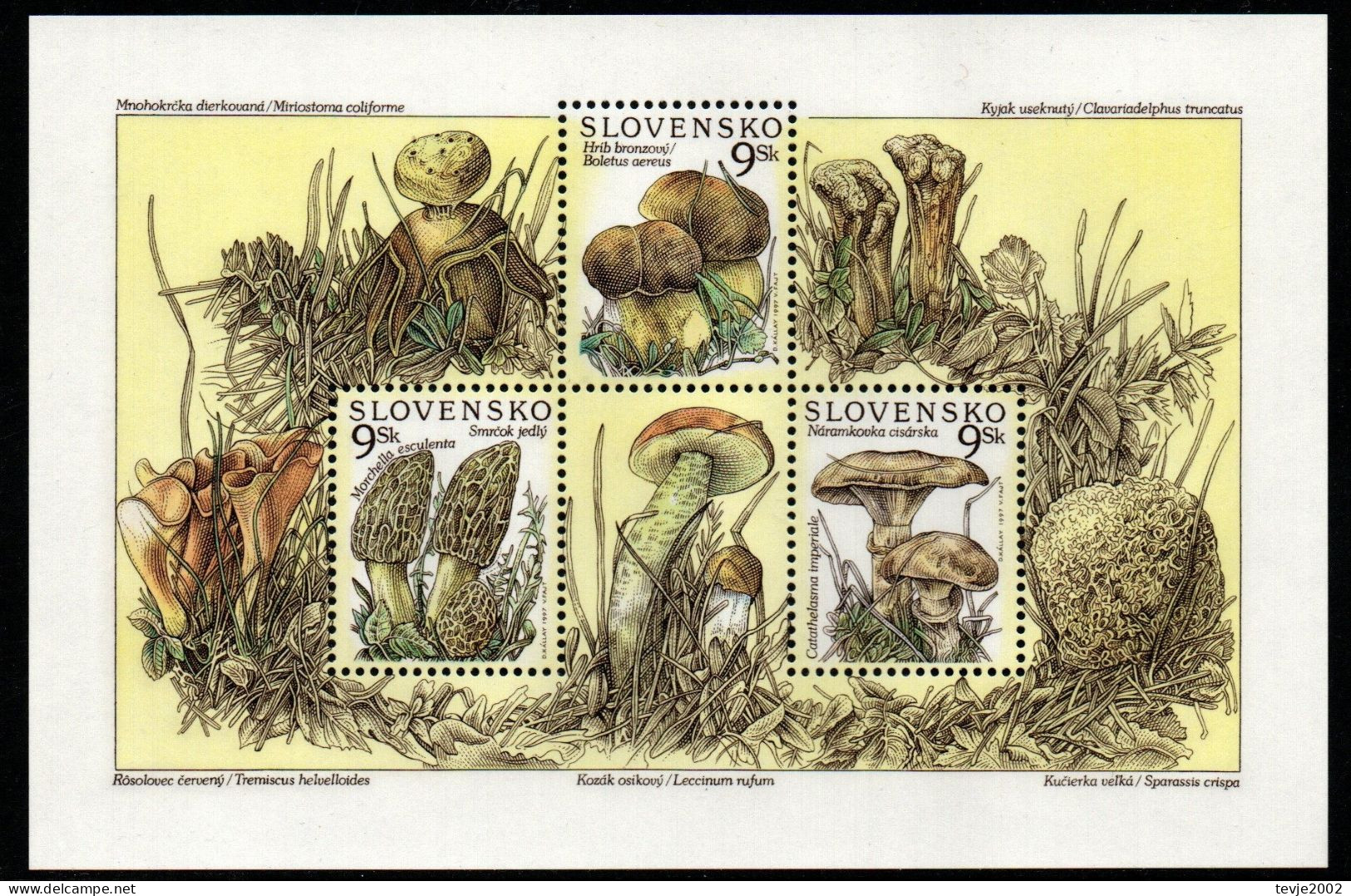 Slowakei Slovensko 1997 - Mi.Nr. Block 9 - Postfrisch MNH - Pilze Mushrooms - Champignons