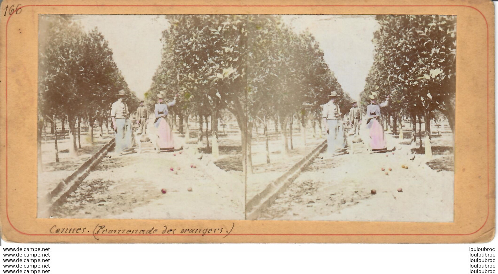 PHOTO STEREOSCOPIQUE CANNES PROMENADE DES ORANGERS - Stereoscopic