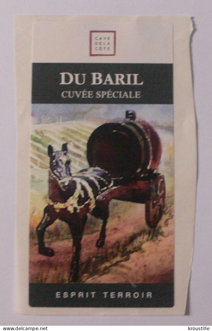 THEME CHEVAL : ETIQUETTE VIN DU BARIL CUVEE SPECIALE - SUISSE - NEUVE - Horses