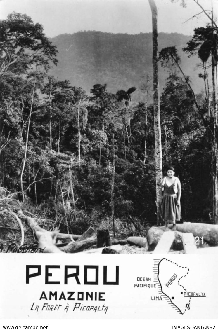 PEROU #FG56137 AMAZONIE LA FORET A PICOPALTA - Pérou