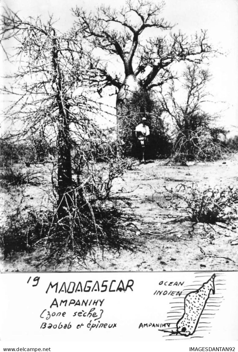 MADAGASCAR #FG56179 AMPANIHY ZONE SECHE BAOBAB ET EPINEUX - Madagaskar