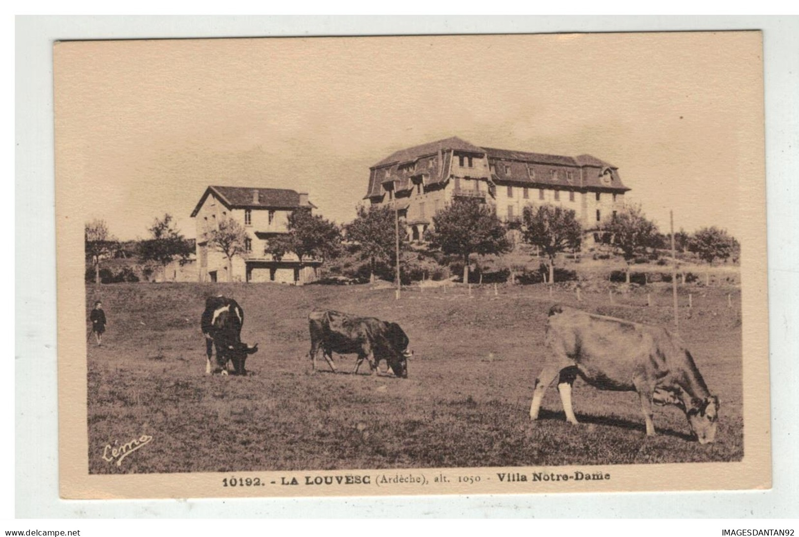 07 LA LOUVESC VILLA NOTRE DAME VACHES EN PATURE - La Louvesc