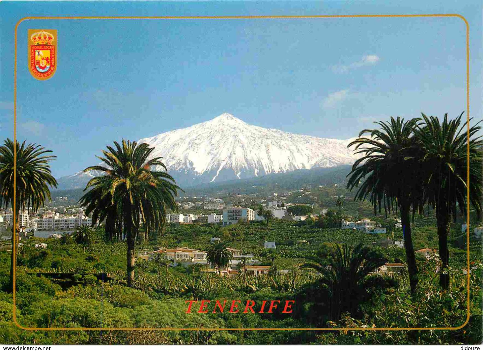Espagne - Espana - Islas Canarias - Tenerife - Icod De Los Vinos Y El Teide - Volcan - CPM - Voir Scans Recto-Verso - Tenerife