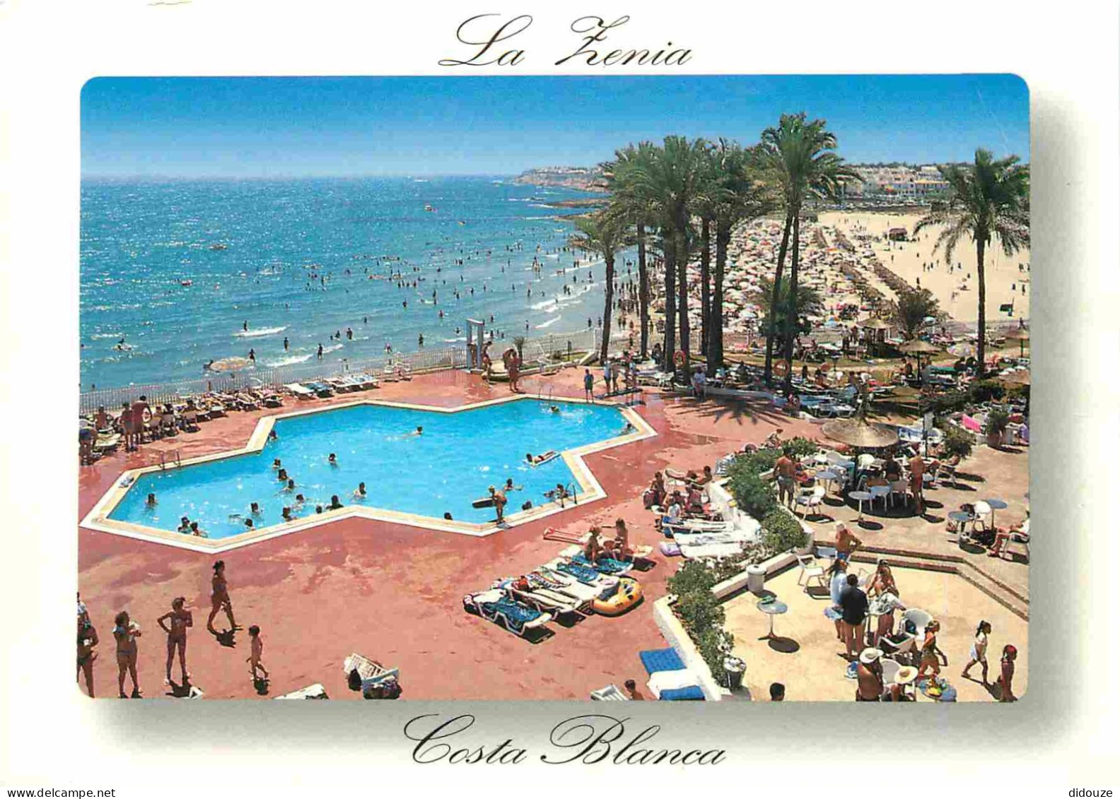 Espagne - Espana - Comunidad Valenciana - La Zenia - Piscinas Del Hôtel Y Playas - Piscine De L'Hôtel Et Plages - CPM -  - Alicante