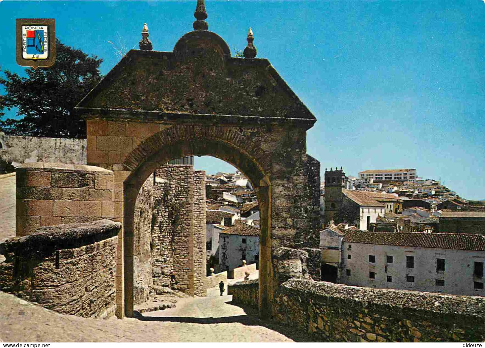 Espagne - Espana - Andalucia - Ronda - Arco Felipe II - CPM - Voir Scans Recto-Verso - Málaga