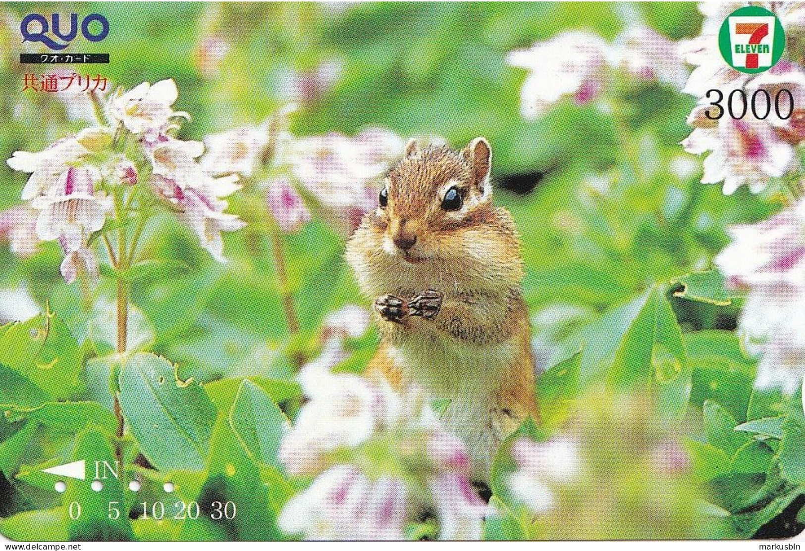 Japan Prepaid Quo Card 3000 - 7 Eleven - Squirrel Animal - Japón