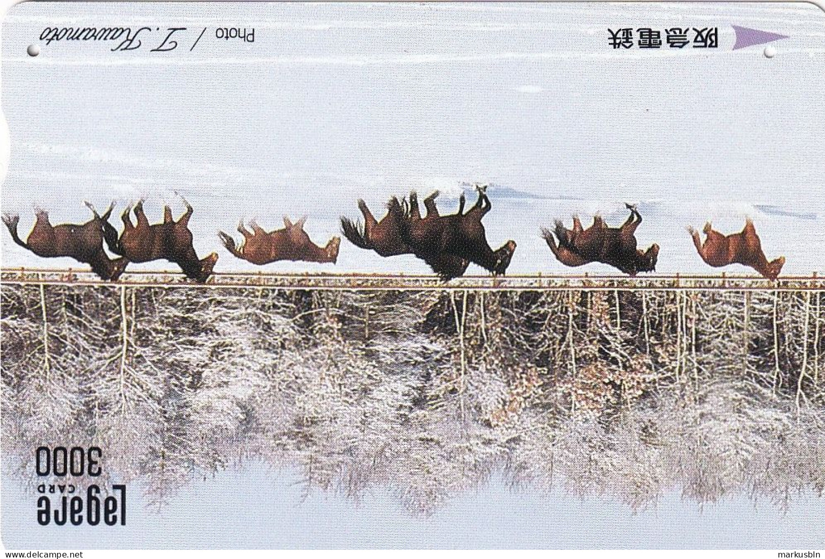Japan Prepaid Lagare Card 3000 - Horses Snow - Japan