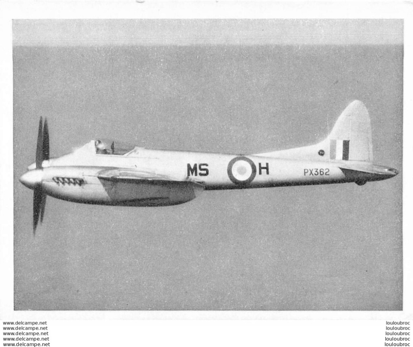 AVION HORNET F MK.3  PHOTO  M.A.P. ISSUE 1 FORMAT 10.50 X 8 CM - Aviación