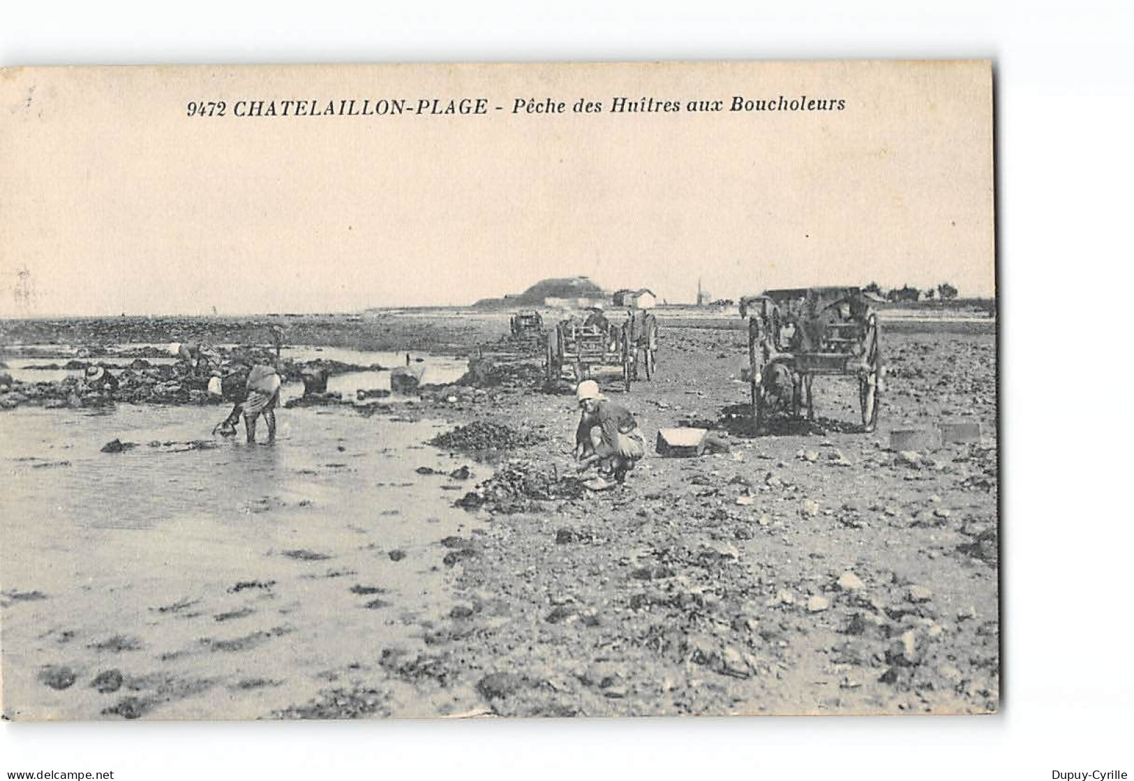 CHATELAILLON PLAGE - Pêche Des Huîtres Aux Boucholeurs - Très Bon état - Châtelaillon-Plage