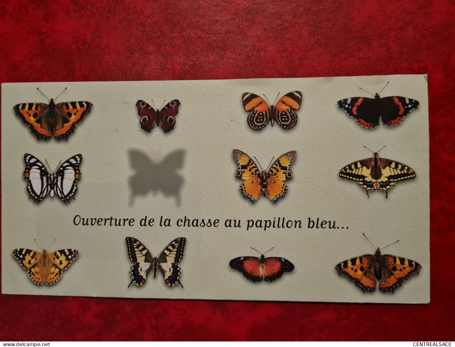 Lettre Flamme Illzach 1999 Entête Renault Boulogne Billancourt Au Dos Illustration Papillons - Cartas & Documentos