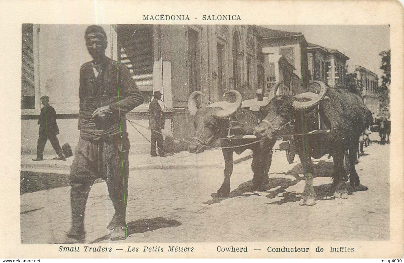 LES PETITS METIERS  Salonique  Le Conducteur De Buffles   2 Scans - Ambachten