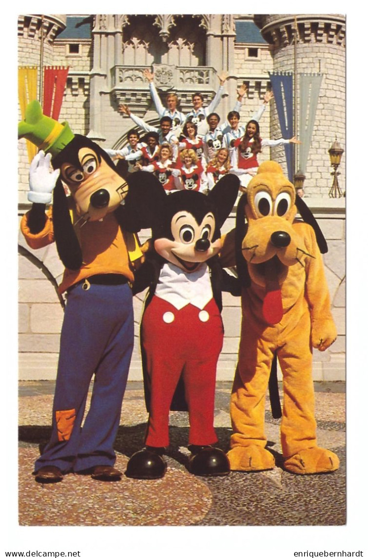 WALT DISNEY WORLD // GOOFY, MICKEY AND PLUTO POSE WITH ONE OF MANY DISNEY ENTERTAINMENT GROUPS - Disneyworld
