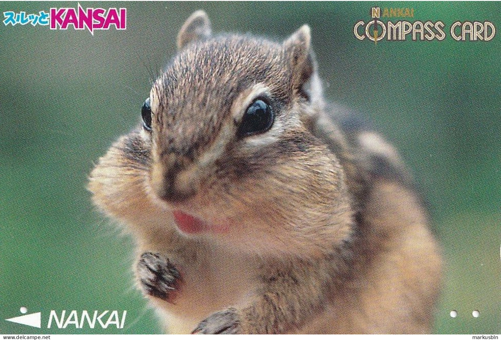 Japan Prepaid Nankai Card 1000 - Kansai Squirrel - Japan