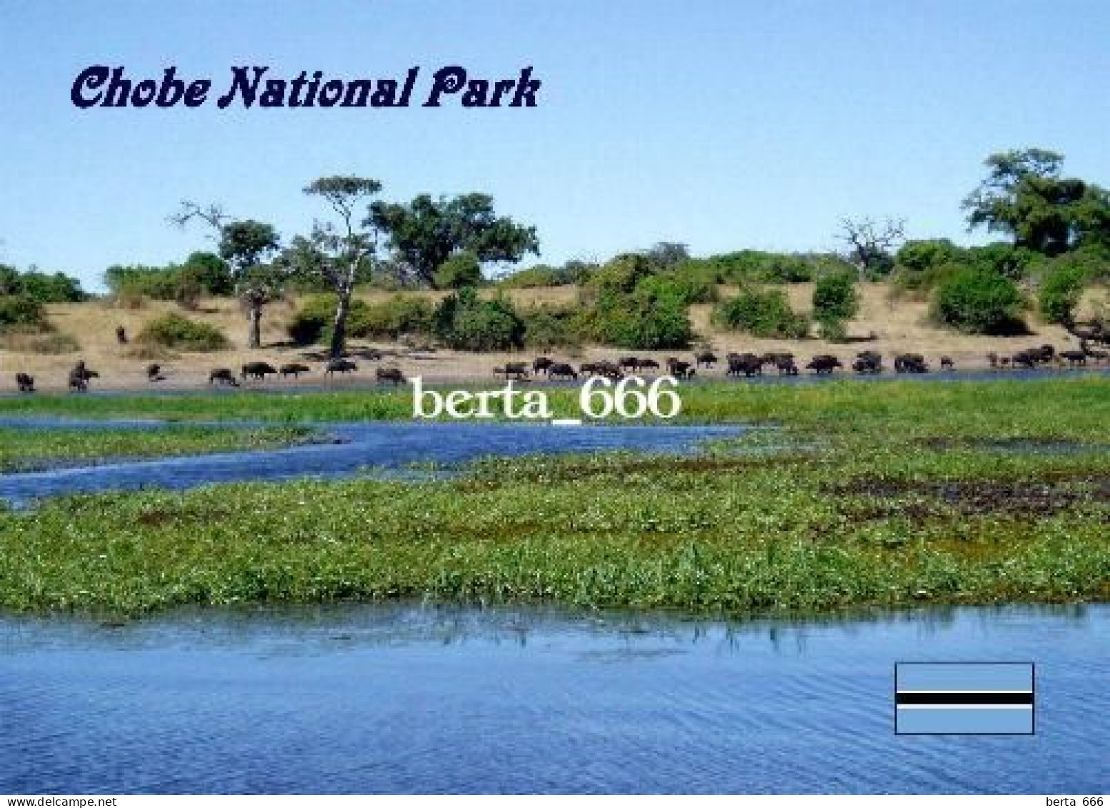 Botswana Chobe National Park New Postcard - Botsuana