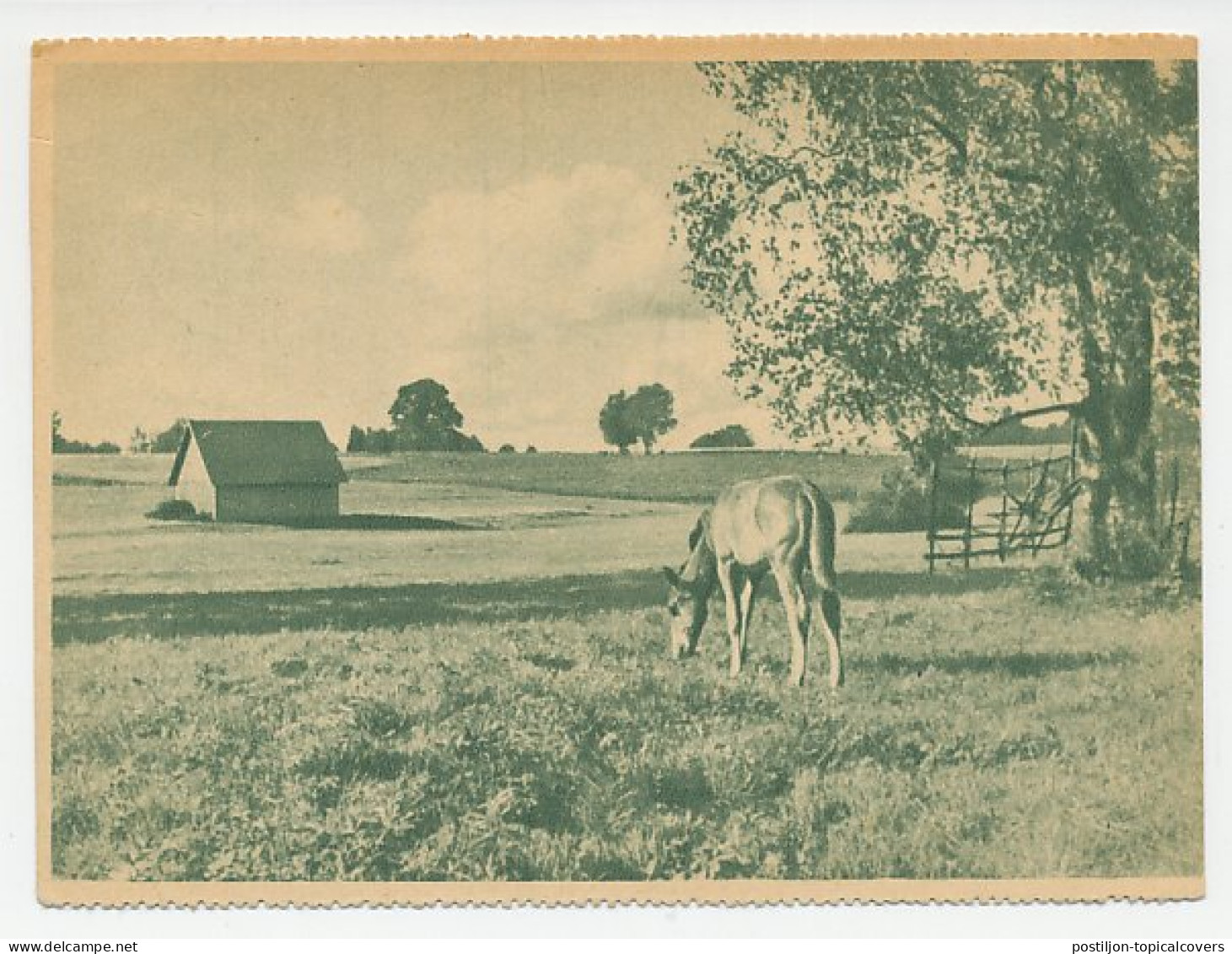 Fieldpost Postcard Germany 1943 Horse - Ostland - WWII - Reitsport