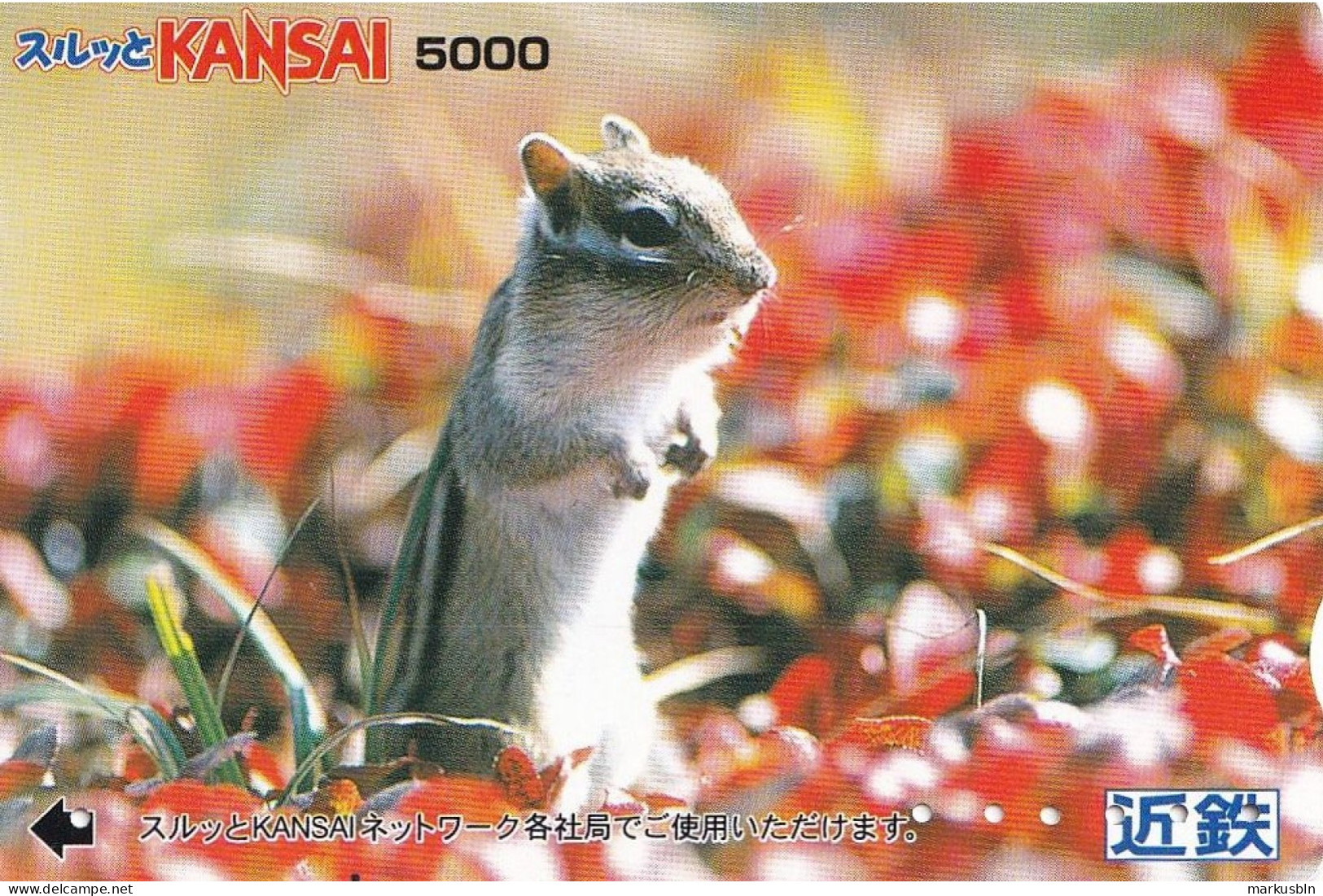 Japan Prepaid Kansai Card 5000 - Squirrel ? Mouse ? - Japón