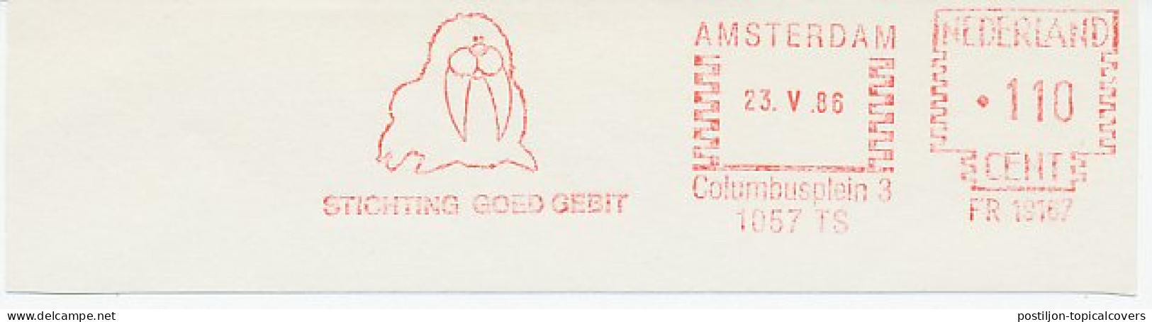 Meter Cut Netherlands 1986 Good Teeth - Dental - Walrus - Médecine