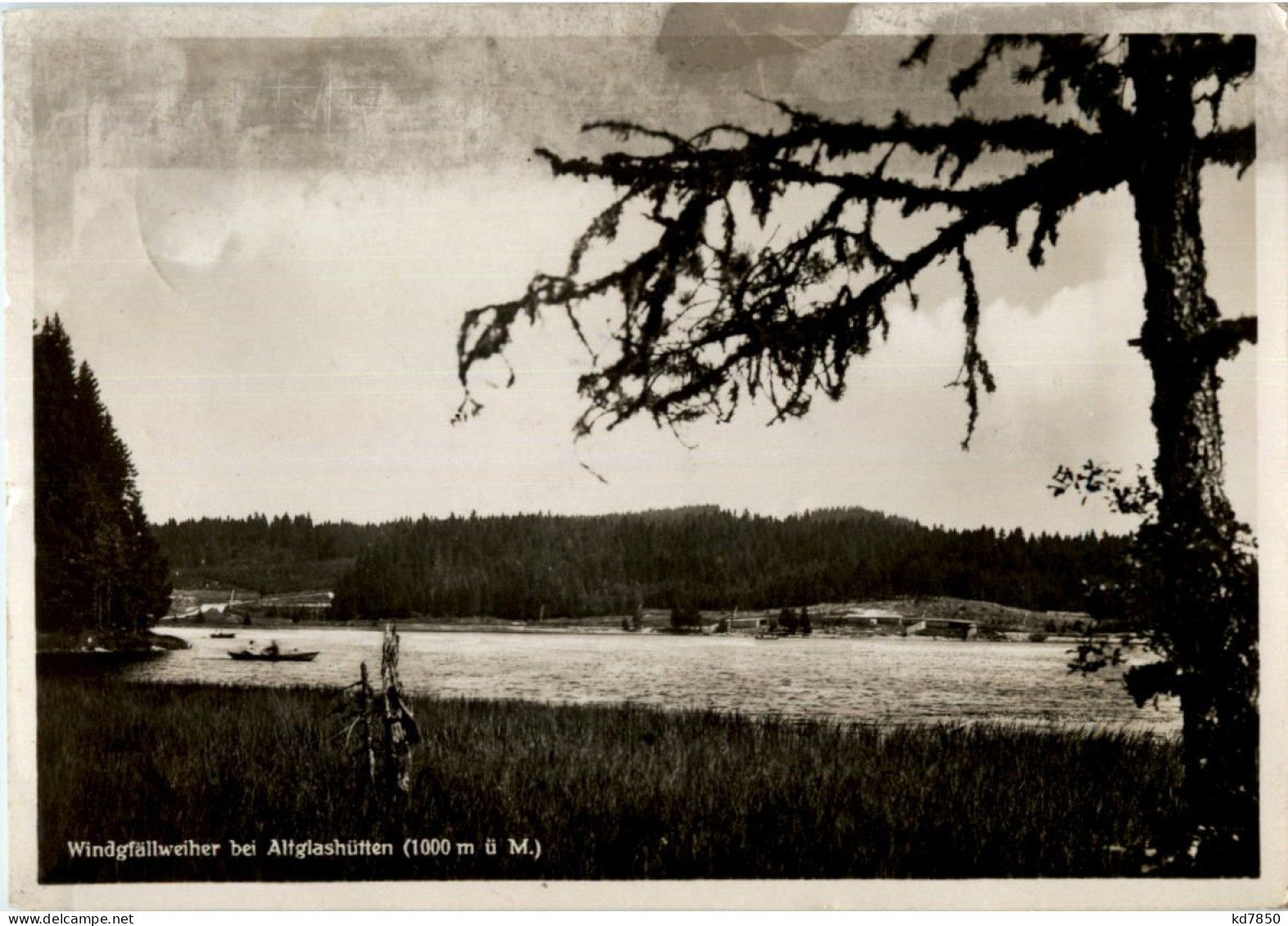 Windgfällweiher Bei Alglashütten - Lörrach