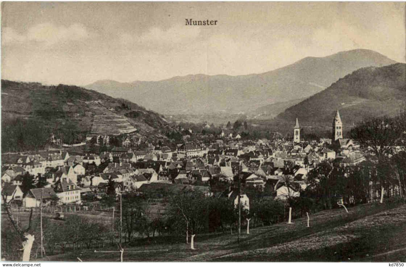 Munster - Munster