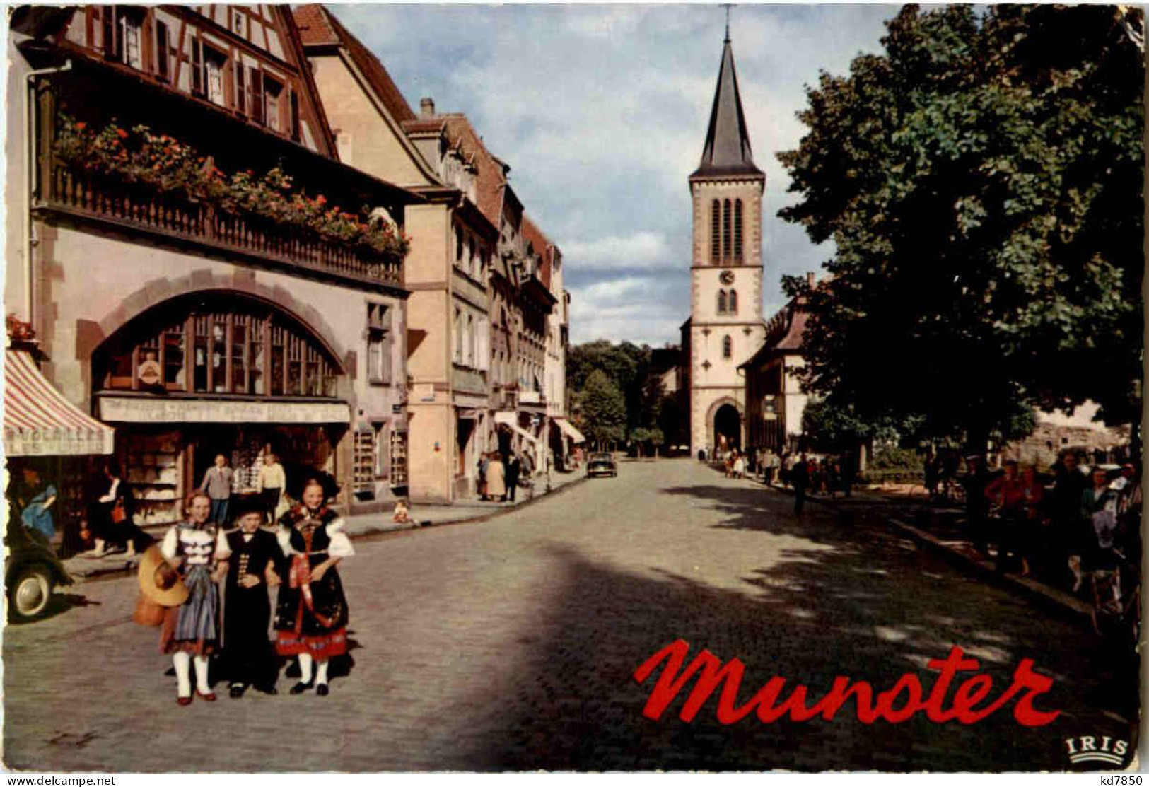 Munster - Munster