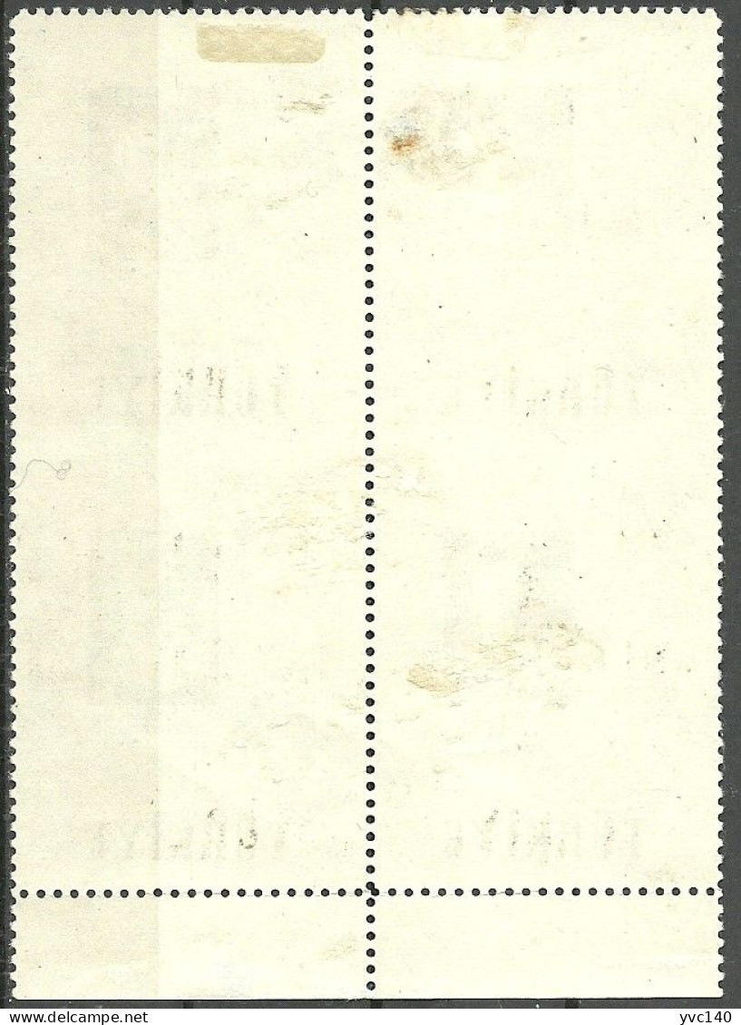Turkey; 1957 75th Year Of The Art Academy 20 K. ERROR "Partially Imperf." - Unused Stamps