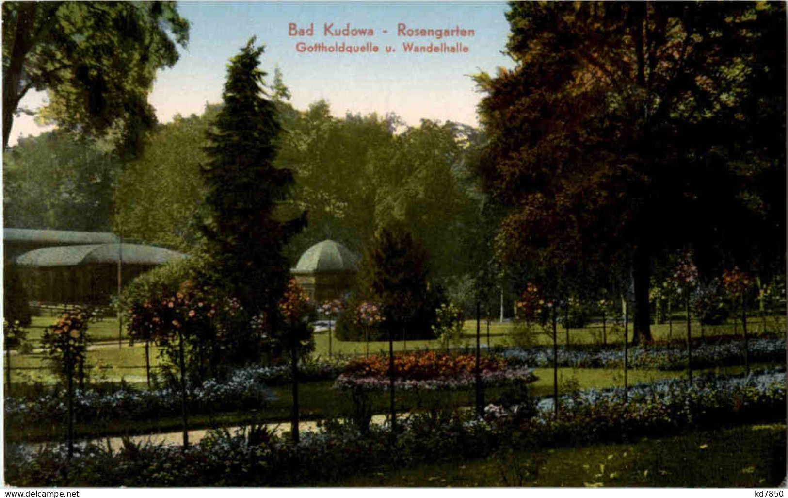 Bad Kudowa - Rosengarten - Schlesien