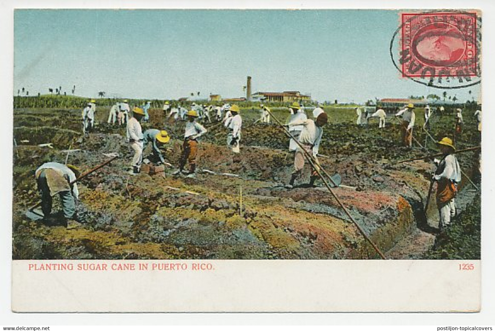 Postcard Puerto Rico 1910 Sugar Cane - San Juan - Alimentation
