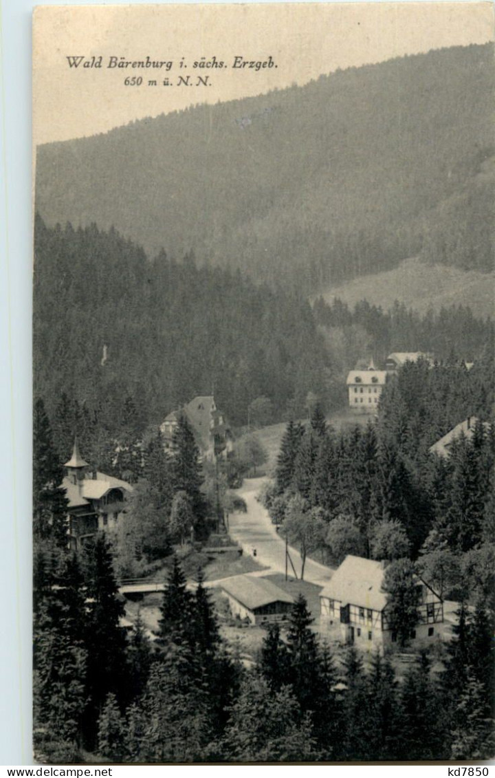 Wald Bärenburg - Altenberg