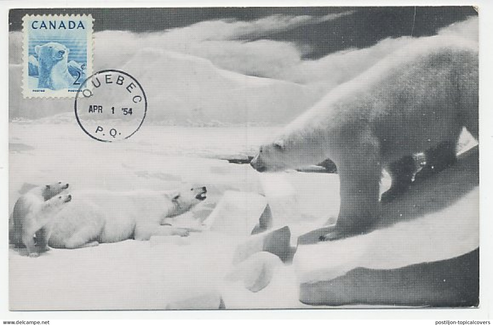 Maximum Card Canada 1954 Polar Bear  - Arctic Expeditions