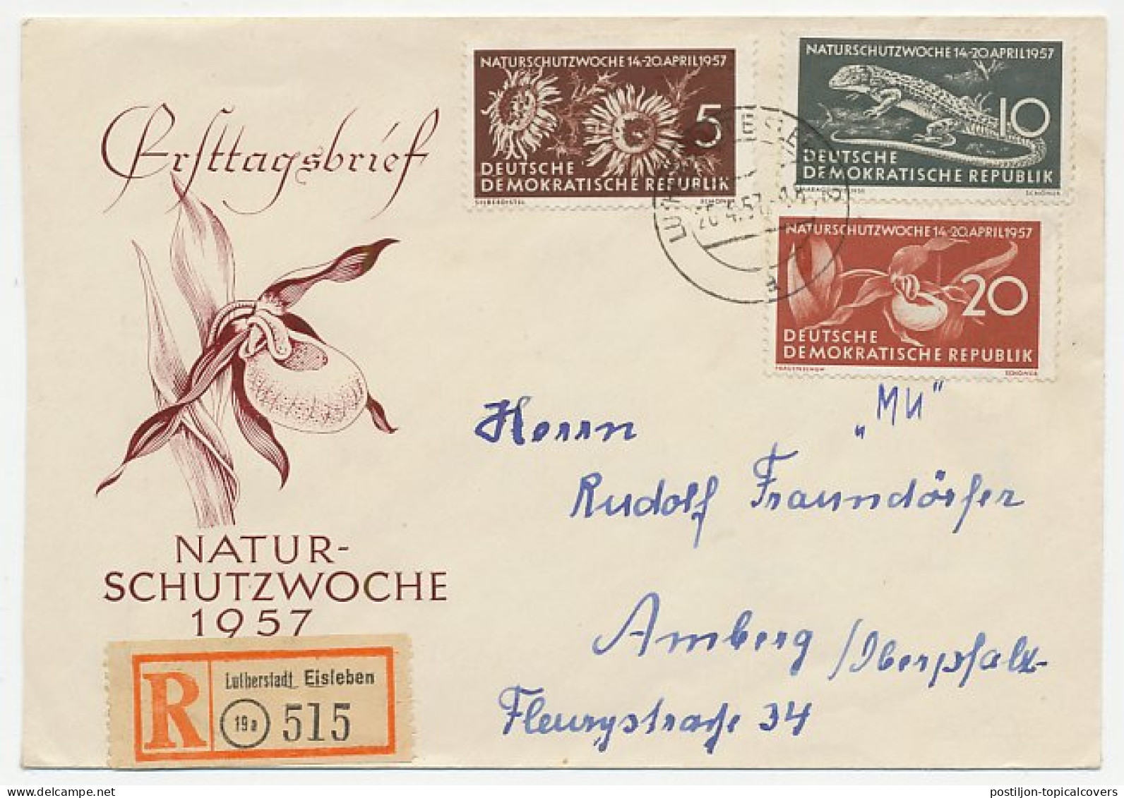 Registered Cover / Postmark DDR / Germany 1957 Nature Protection - Alberi