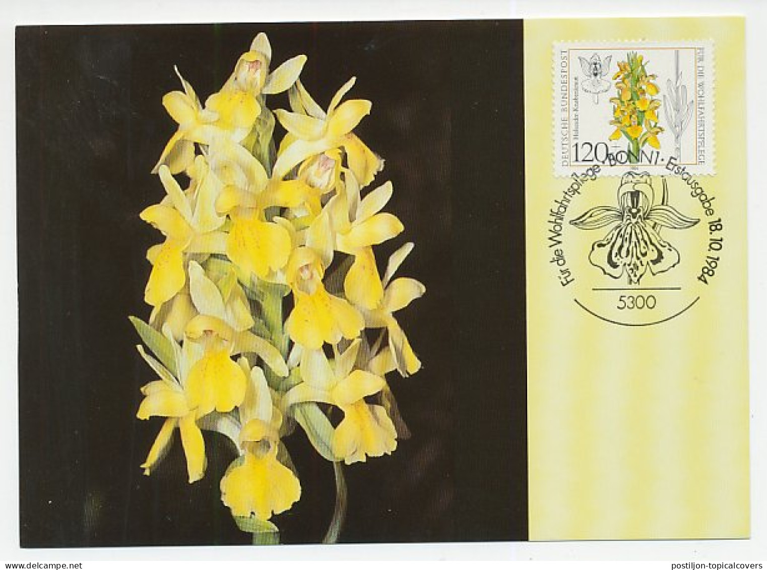 Maximum Card Germany 1984 Orchid - Trees