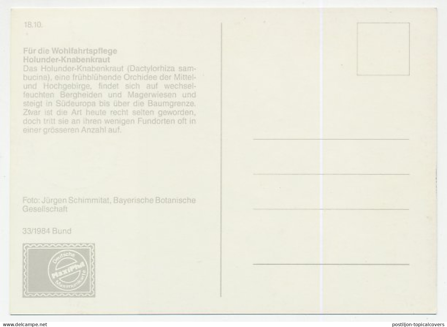 Maximum Card Germany 1984 Orchid - Bomen