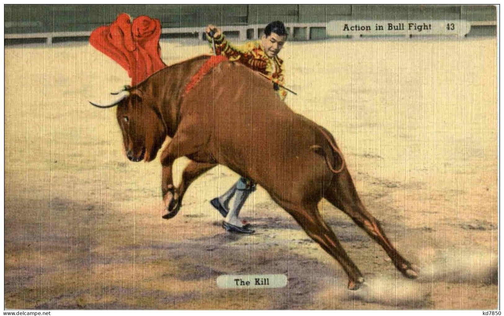 Action In Bull Fight - The Kill - Stierkampf