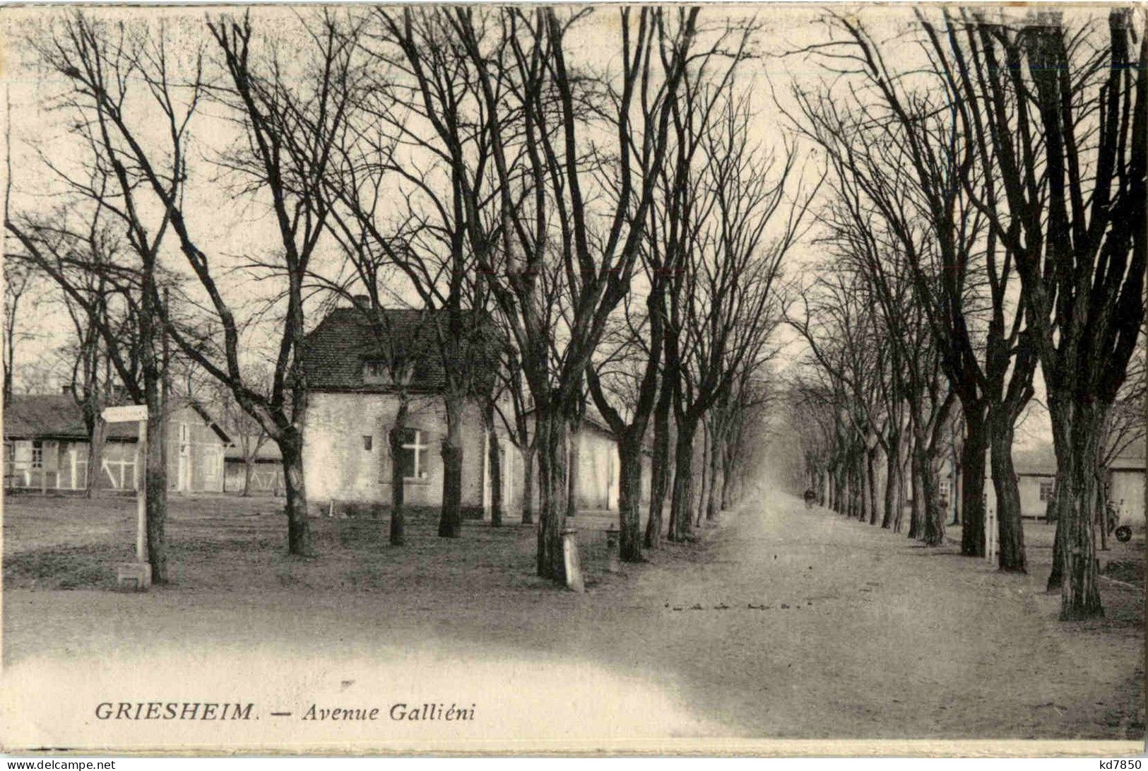 Griesheim - Avenue Gallieni - Griesheim