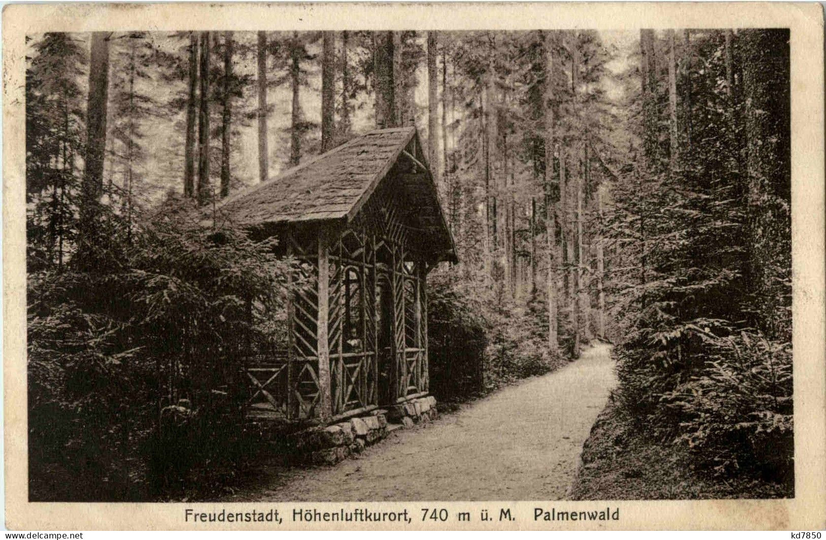 Freudenstadt - Palmenwald - Freudenstadt