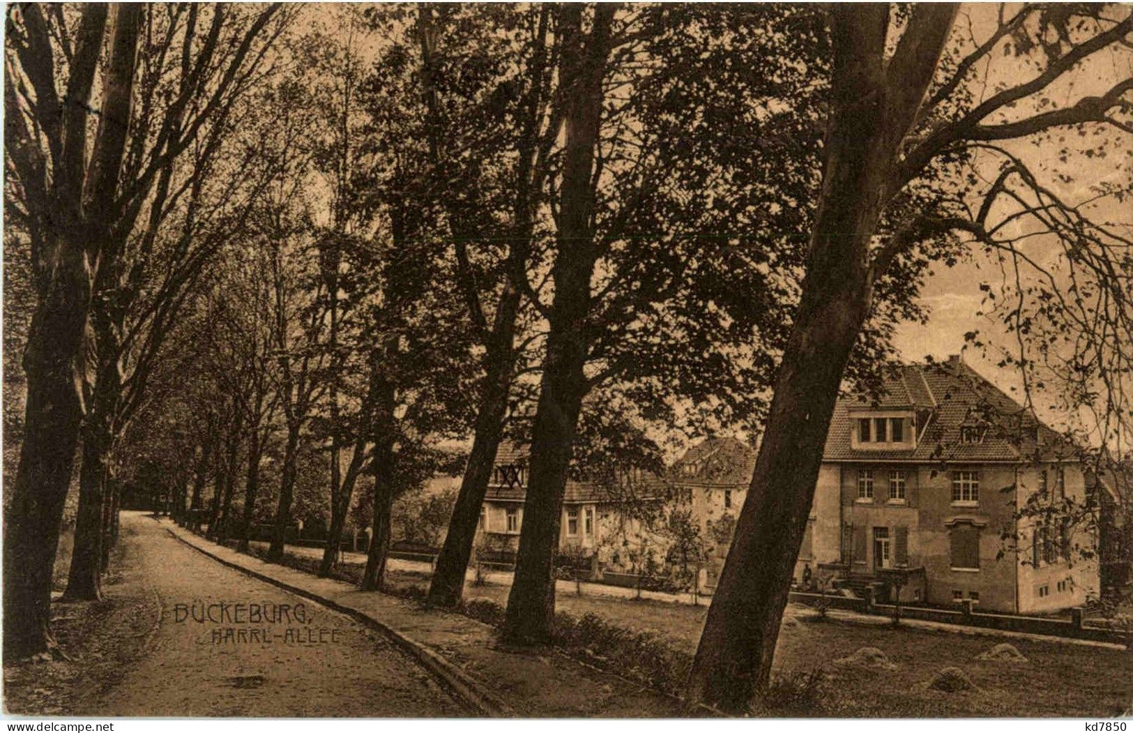 Bückeburg - Harrl Allee - Bueckeburg