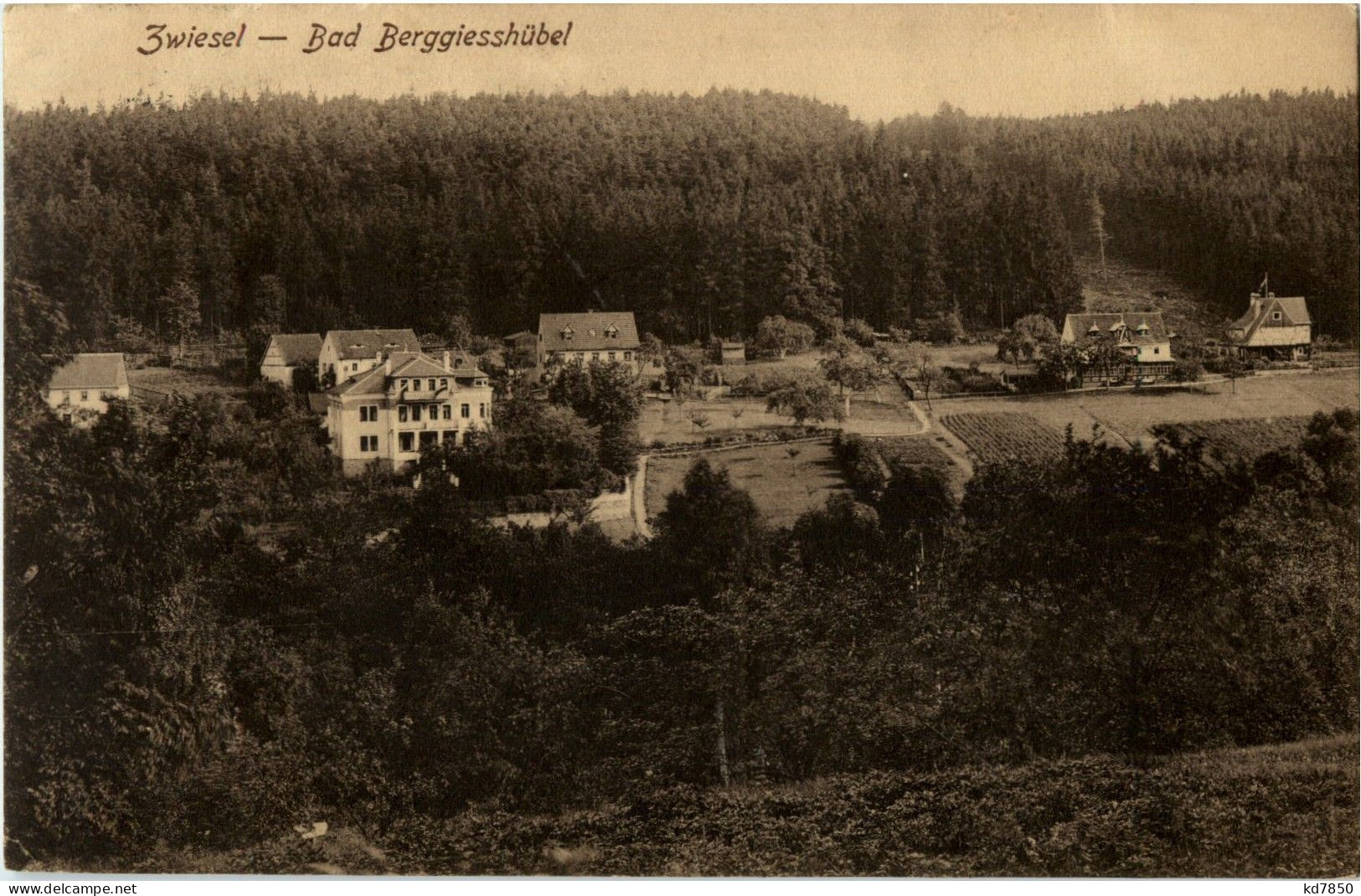 Zwiesel - Bad Berggiesshübel - Zwiesel