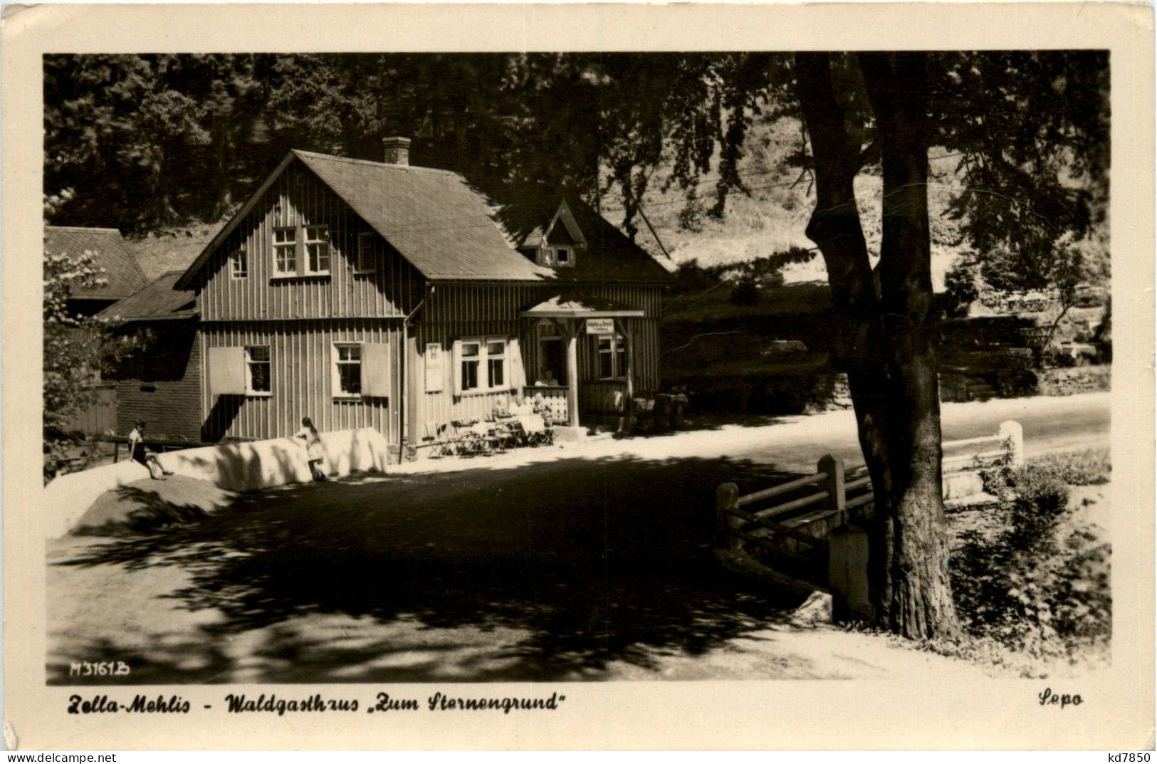 Zella-Mehlis - Waldgasthaus Zum Sternengrund - Zella-Mehlis