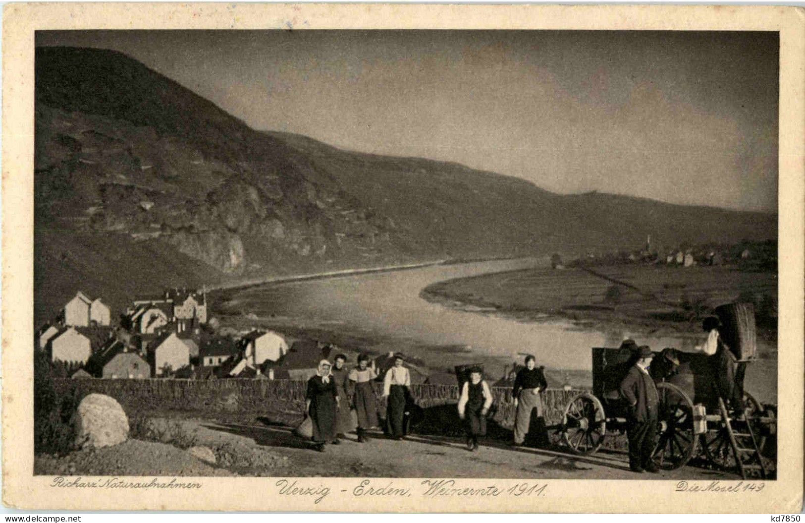Ürzig Erden - Weinernte 1911 - Bernkastel-Kues