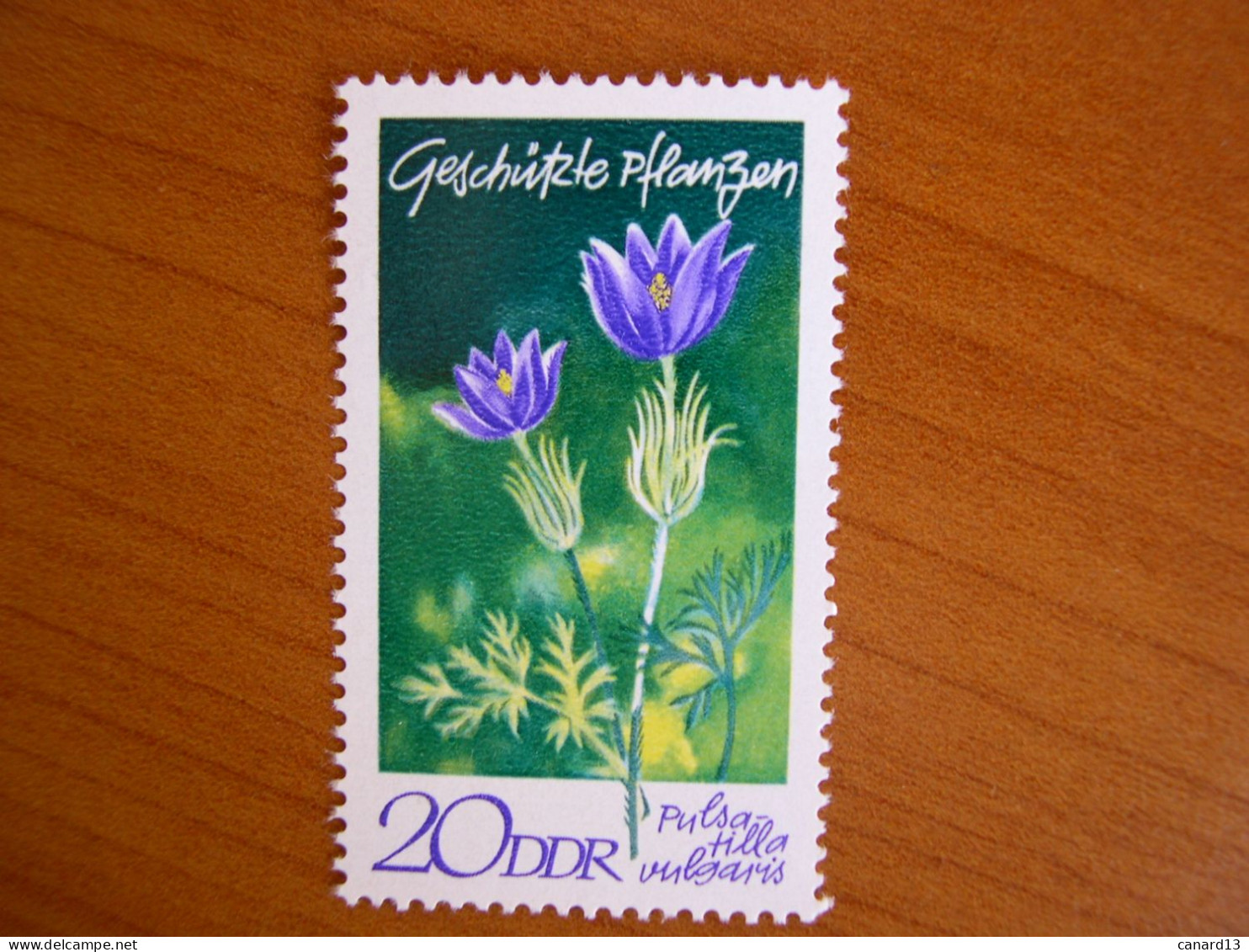 RDA   N° 1256 Neuf** - Unused Stamps