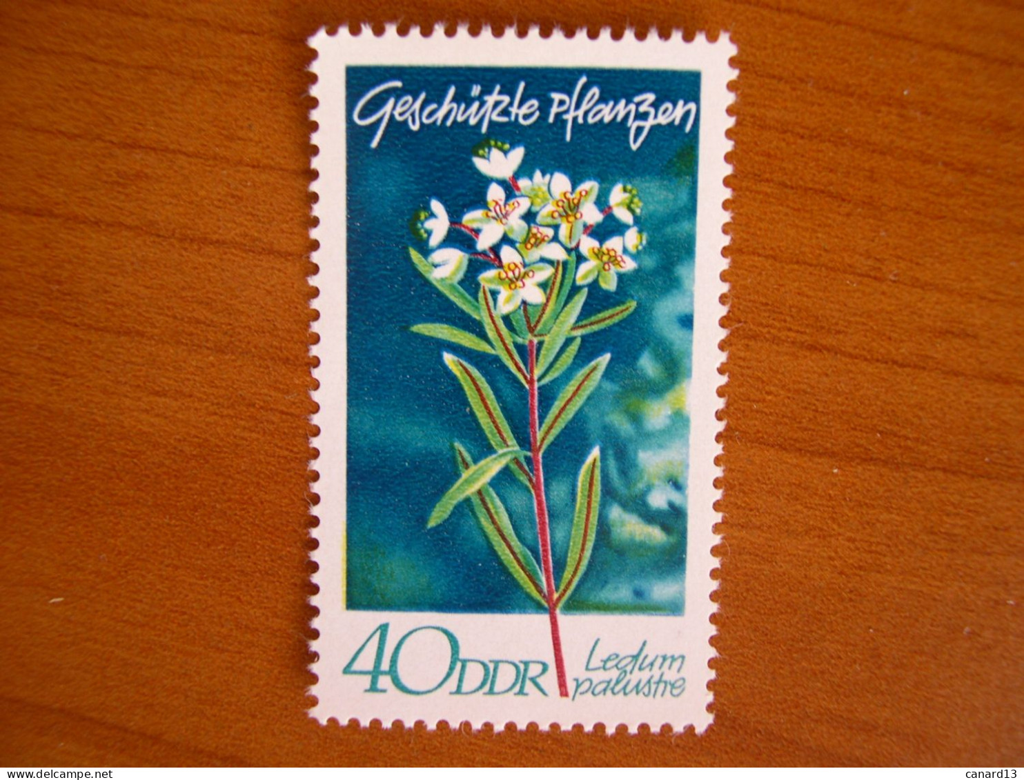 RDA   N° 1259 Neuf** - Unused Stamps