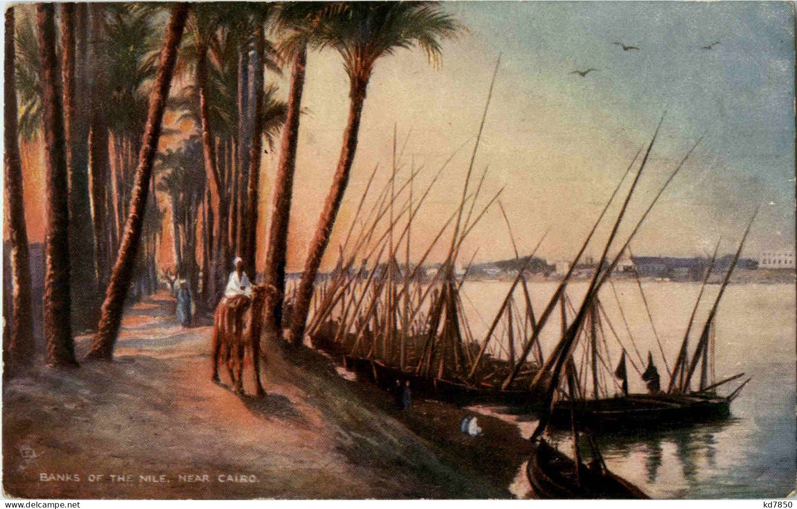 Banks Of The Nile Near Cairo - Caïro