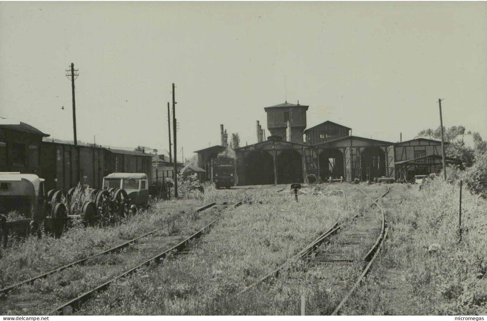 Andel - Lokomotivschuppen (Rotonde) 26-7-1952 - Treni
