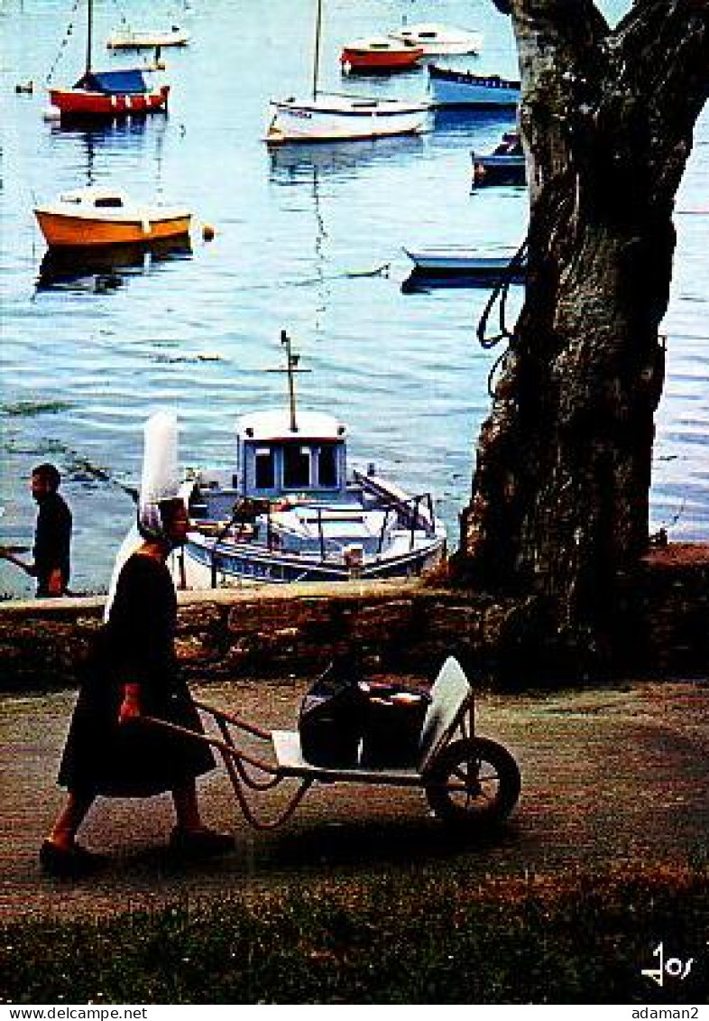 Bénodet   G28          Combrit. Ambiance Du Port Bigouden - Bénodet