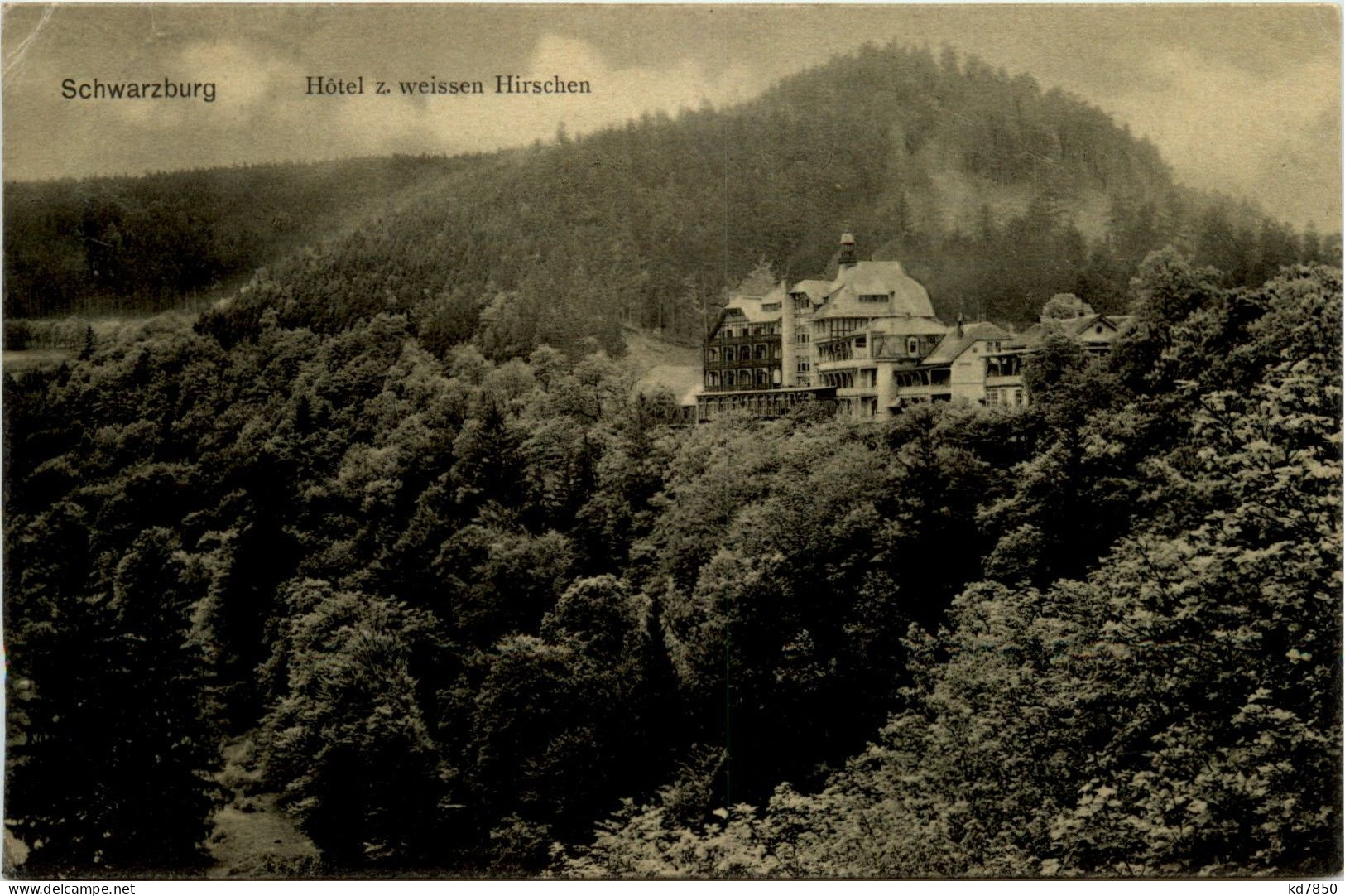 Schwarzburg/Thür. - Hotel Z. Weissen Hirschen - Saalfeld