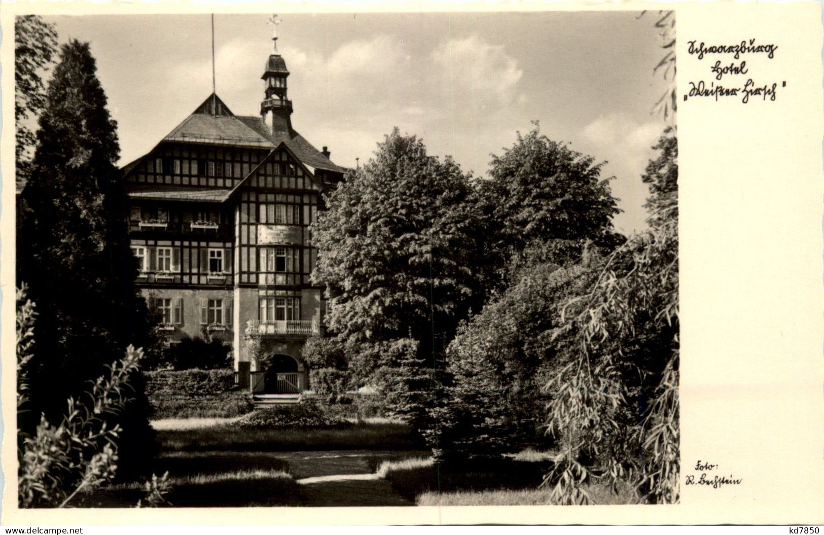 Schwarzburg/Thür.Wald - Hotel - Saalfeld