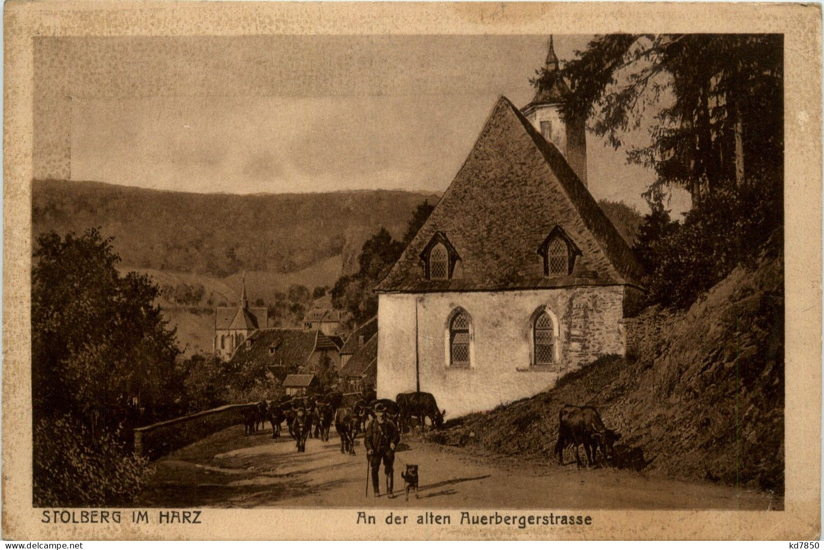 Stolberg/Harz . An Der Alten Auerbergerstrasse - Stolberg (Harz)